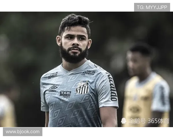 国米最新转会动态全解析